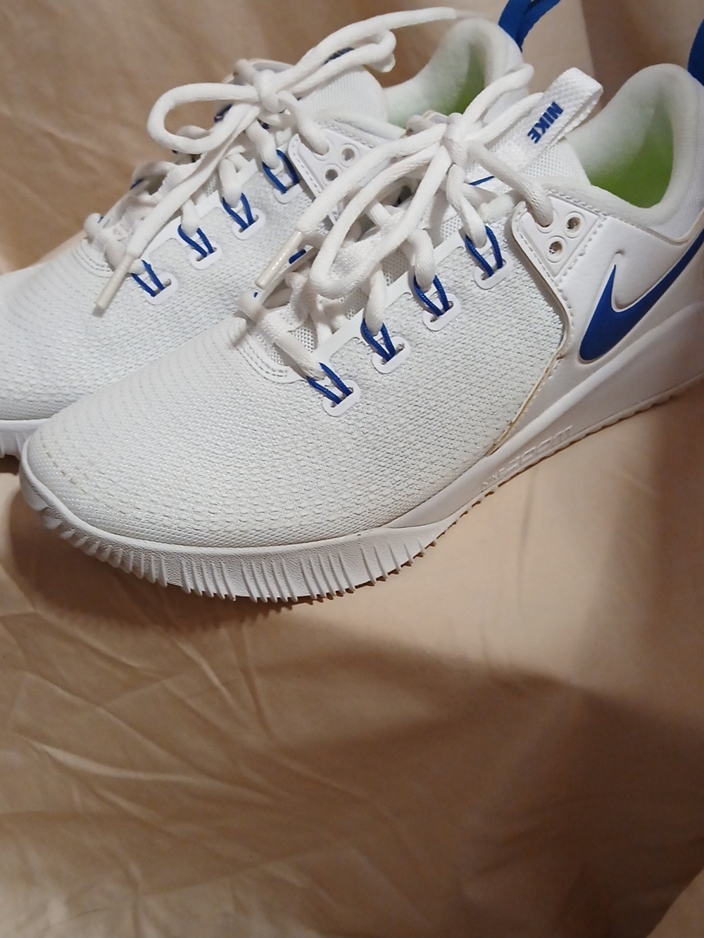 Nike White and Blue Volleyball Sneakers